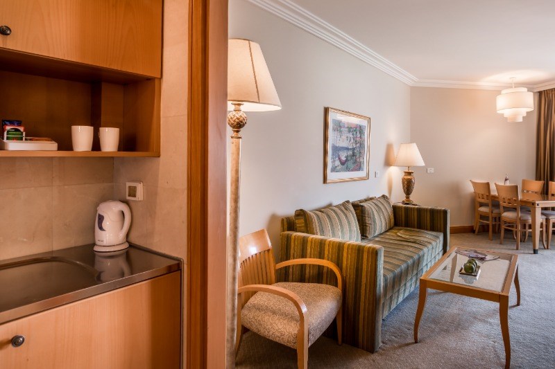 Deluxe suite living room